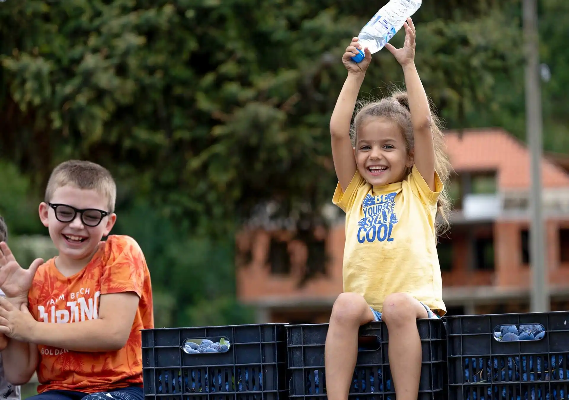Какво означава органично производство?